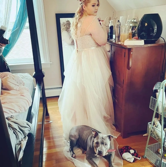 David's Bridal Blush wedding gown - Picture 7 of 7